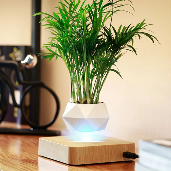 Bonsai pot with magnetic levitating suspension