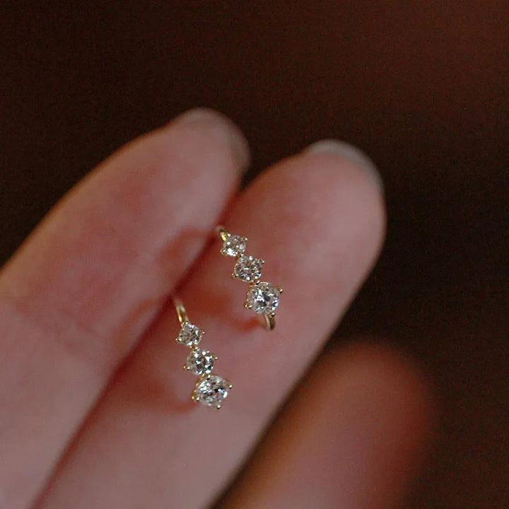 Stainless steel earrings with zirconia and stones