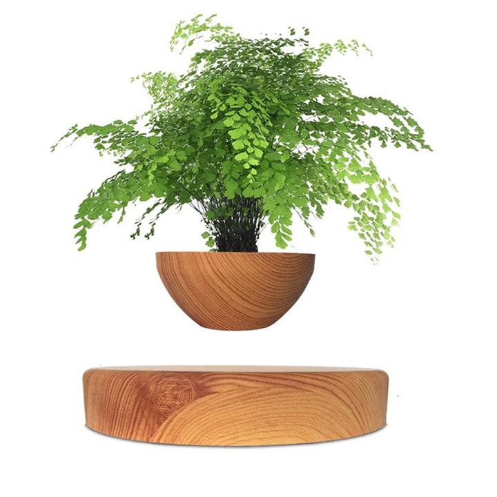 Bonsai pot with magnetic levitating suspension