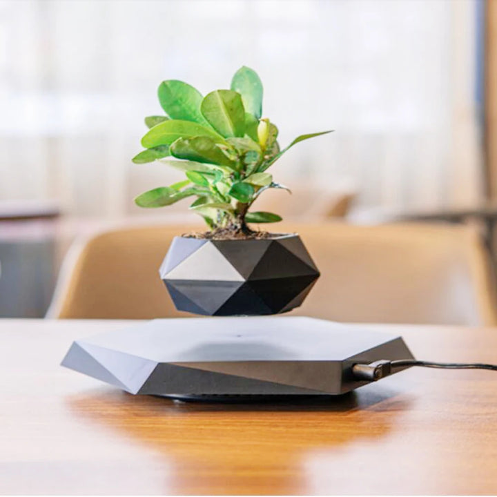 Bonsai pot with magnetic levitating suspension