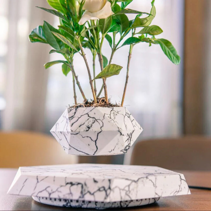 Bonsai pot with magnetic levitating suspension