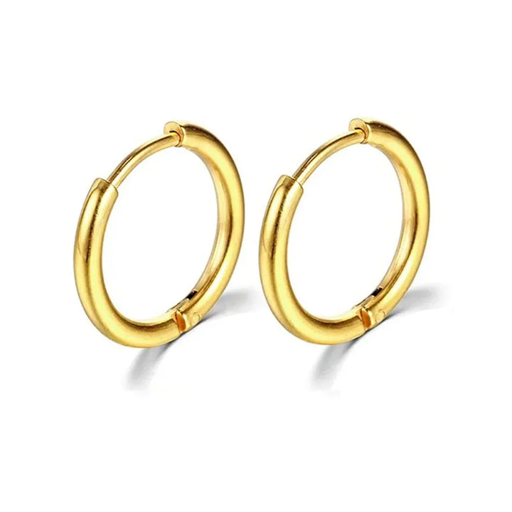 14k gold plated stainless steel hoop earrings